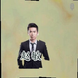 赵敏